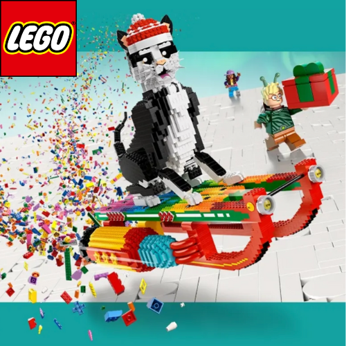 De leukste LEGO® cadeaus!